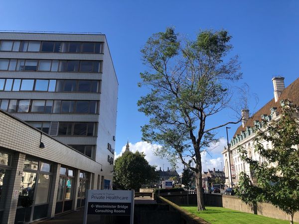 Hospital plans to chop down tree to avoid ‘unsightly’ pruning